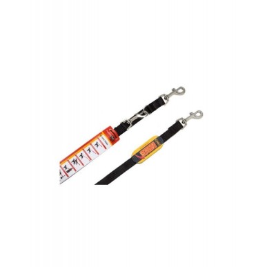 "Patento" Leash