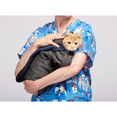 Smart Cat Wrap