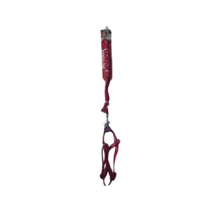 Leash And Harness "Carnival"