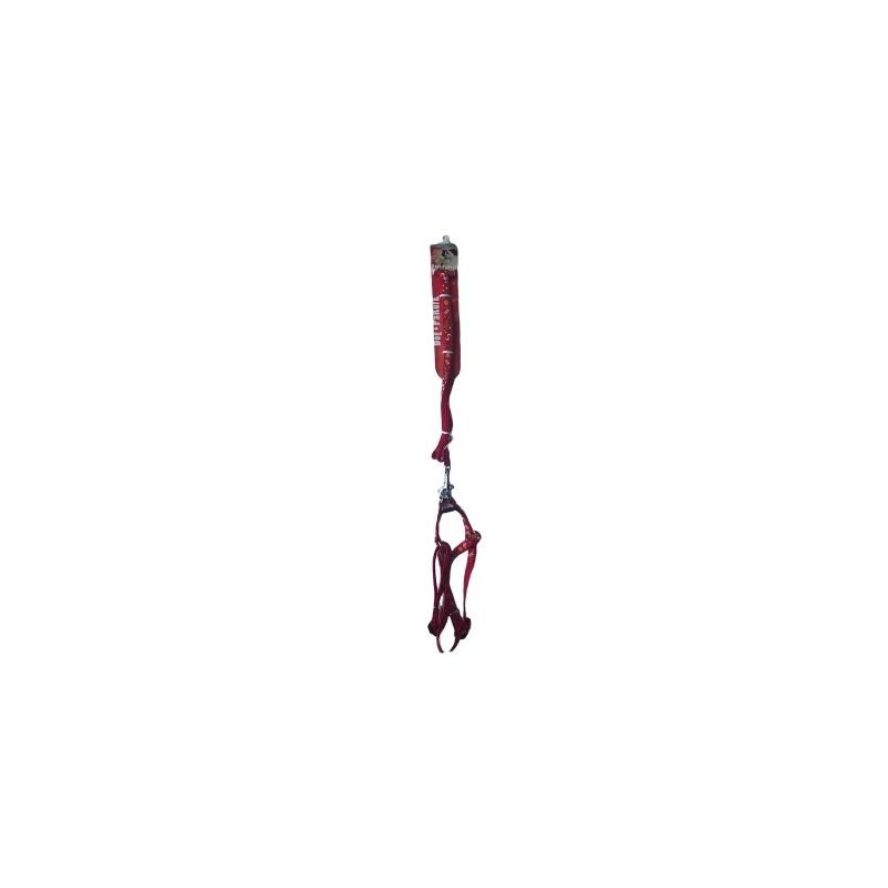 Leash And Harness "Carnival"