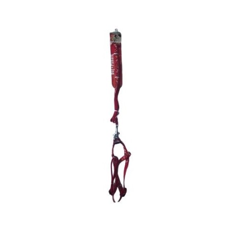 Leash And Harness "Carnival"