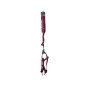 Leash And Harness "Carnival"