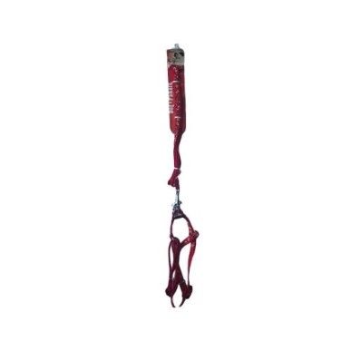 Leash And Harness "Carnival"