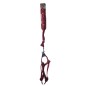 Harness And Leash "Dogbag"