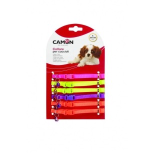 Puppy Collars