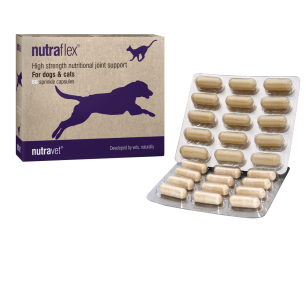Supplements nutraflex