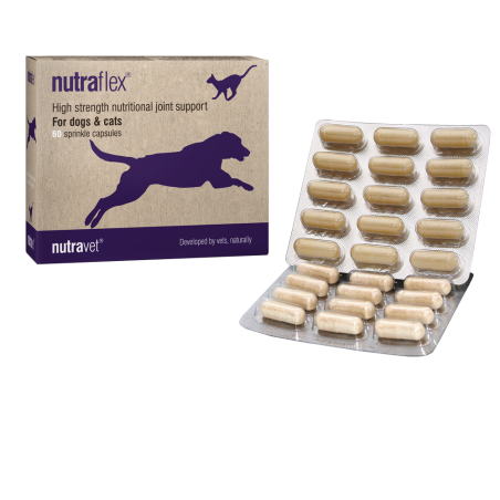 Supplements nutraflex
