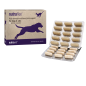 Nutraflex for joints Nutraflex for joints