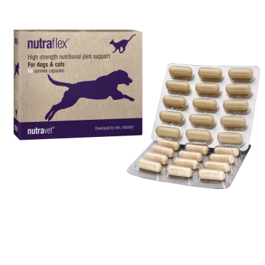 Supplements nutraflex