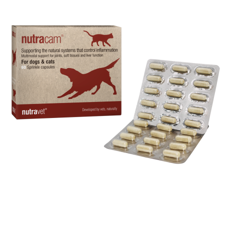 Supplement nutracam for joints, soft tissues and liver function