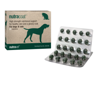 Nutracoat supplement for healthy skin and glossy coat
