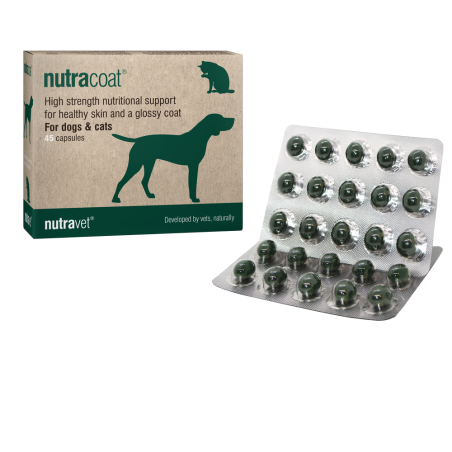 Nutracoat supplement for healthy skin and glossy coat