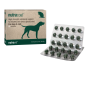 Nutracoat supplement for healthy skin and glossy coat Nutracoat supplement for healthy skin and glossy coat