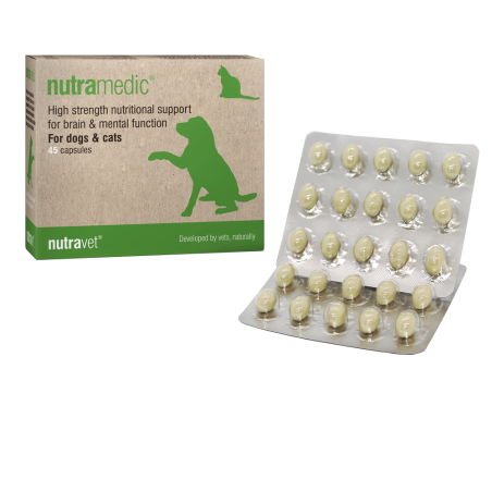 Nutramedic supplement for brain function
