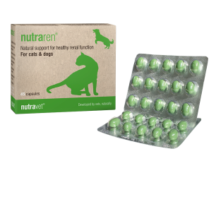 Nutraren supplement for renal health