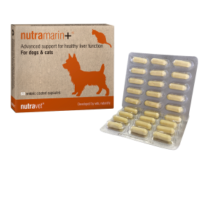 Nutramarin plus supplement for liver function