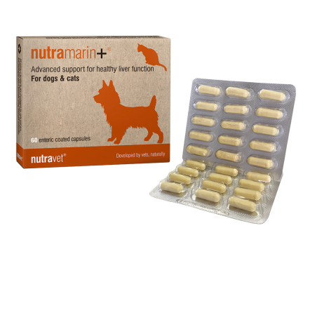 Nutramarin plus supplement for liver function