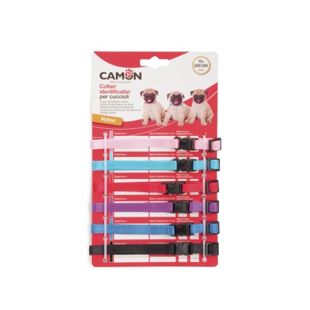 Adjustable quick-release puppy ID collars 10x200/300 mm