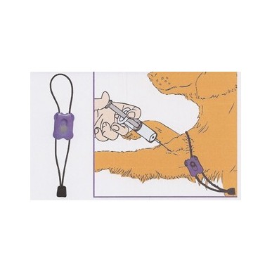 Pill Crusher Splitter