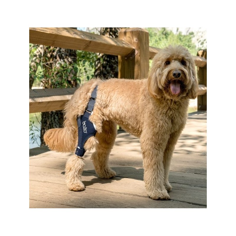 BT JUMP brace for KNEE BT JUMP brace for KNEE