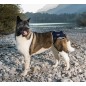 BT LIFE brace για δυσπλασία ισχίου BT LIFE brace για δυσπλασία ισχίου