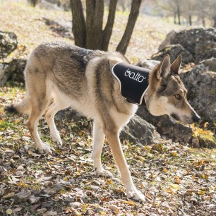 BT NECK ECO No-Lick Brace Size XS