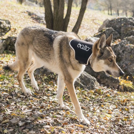 BT NECK ECO No-Lick Brace Size XS