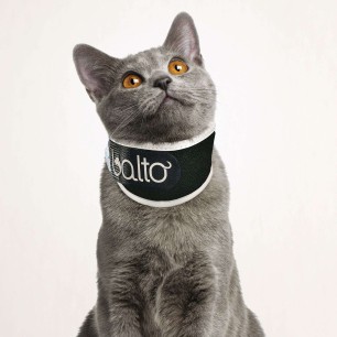 BT NECK ECO No-Lick Brace Size XS
