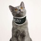 BT NECK ECO No-Lick Brace Size XS BT NECK ECO No-Lick Brace Size XS
