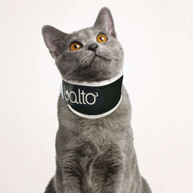 BT NECK ECO No-Lick Brace Size XS