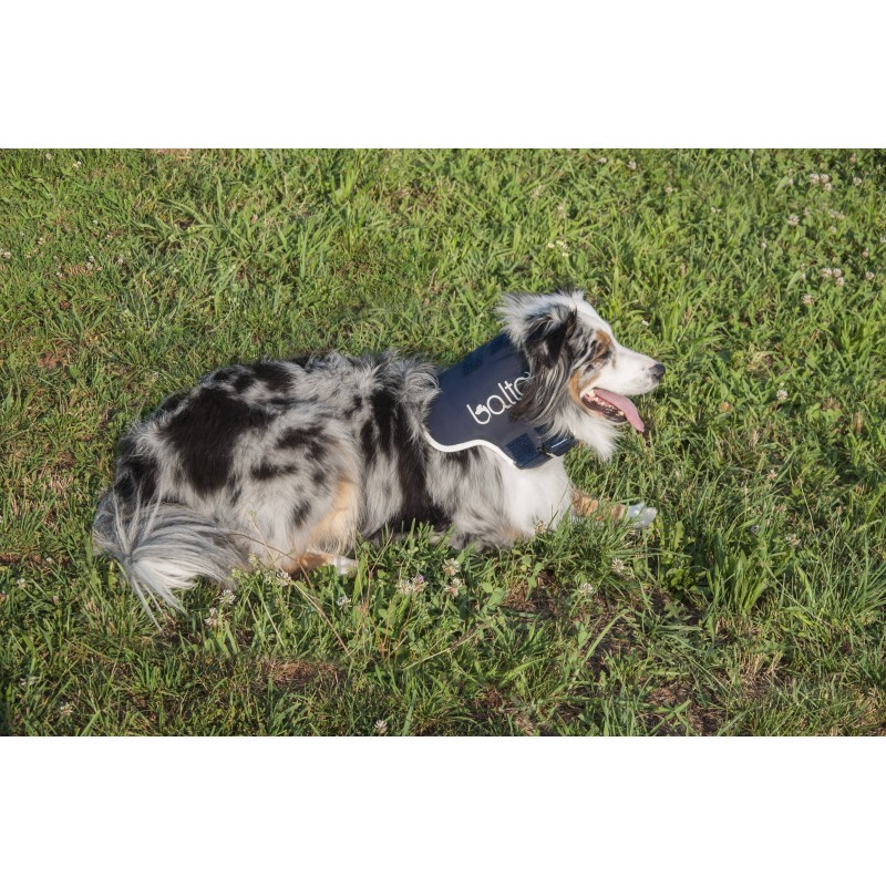 BT NECK- Rigid Blue Neck Orthopaedic Brace Size Med. BT NECK- Rigid Blue Neck Orthopaedic Brace Size Med.