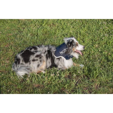 BT NECK- Rigid Blue Neck Orthopaedic Brace Size Med.