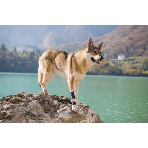 BT SPLINT Brace Size XXS