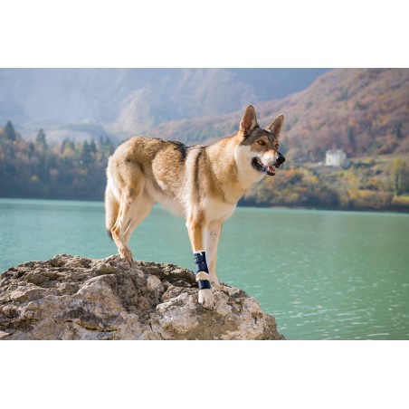 BT SPLINT Brace Size XXS