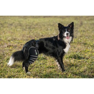 BALTO SPORT AGILE LEFT SIZE Large