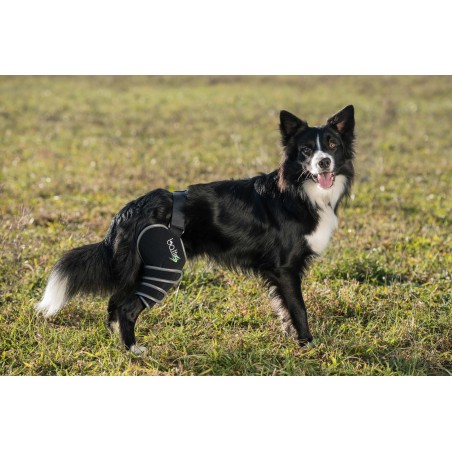 BALTO SPORT AGILE LEFT SIZE Large