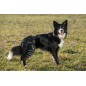 BALTO SPORT AGILE LEFT SIZE Large BALTO SPORT AGILE LEFT SIZE Large