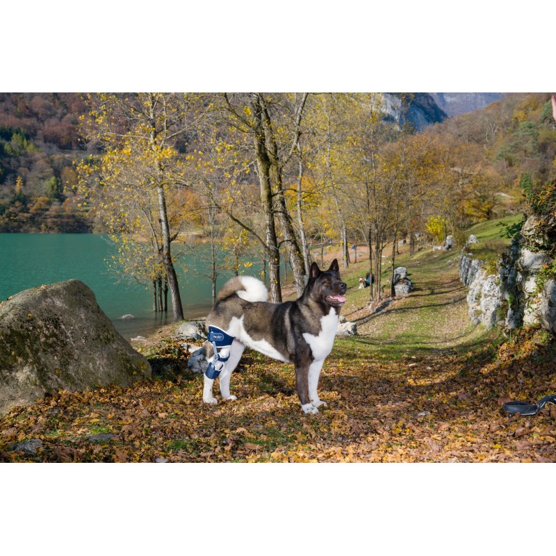 Ligatek Νάρθηκας γόνατος. Ligatek Νάρθηκας γόνατος.