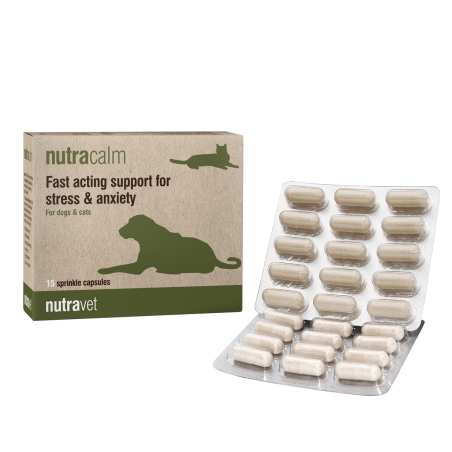 Nutrazyl supplement for stress and anxiety