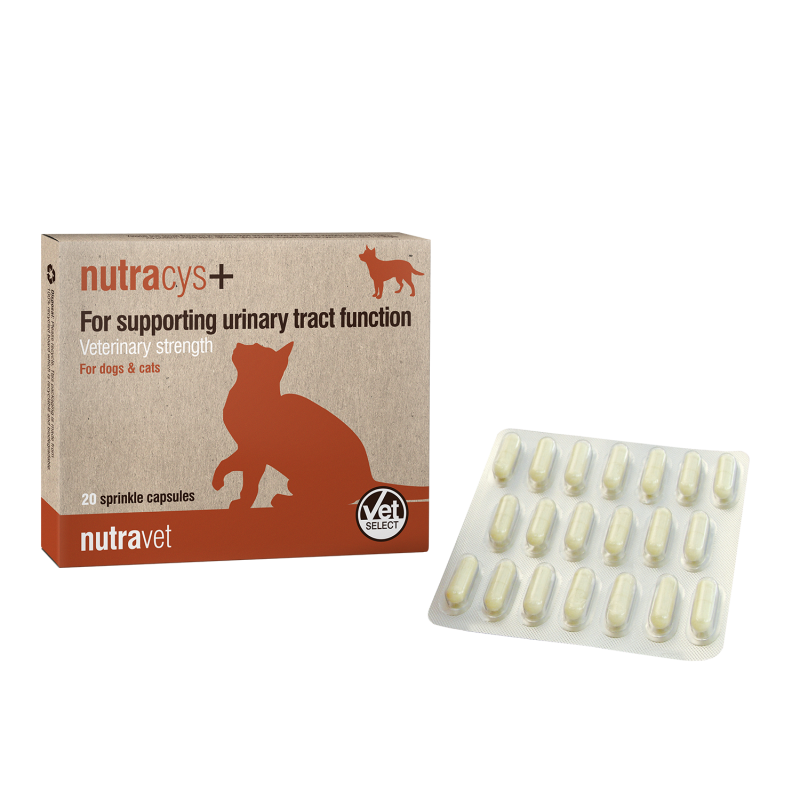 nutraease supplement for urinary system nutraease supplement for urinary system