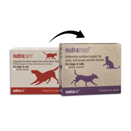 Nutracam supplement for joints, soft tissues and liver function