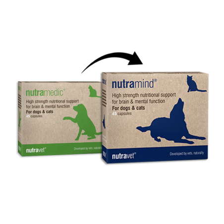 Nutramedic supplement for brain function