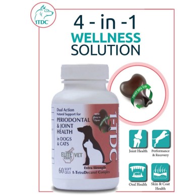 1-TDC™ Dual Action PERIODONTAL & JOINT HEALTH