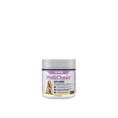 NEW!!  WelliChews™ Calming Soft Chews