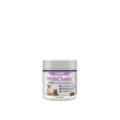 NEW!!  WelliChews™ Calming Soft Chews