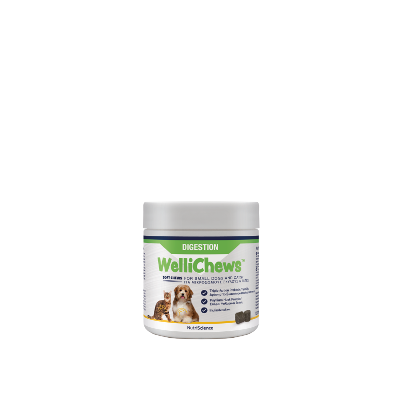 NEW!!!!   WelliChews™ Digestion
