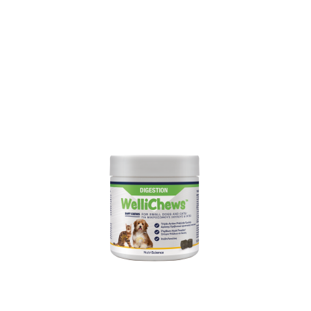 NEW!!!!   WelliChews™ Digestion
