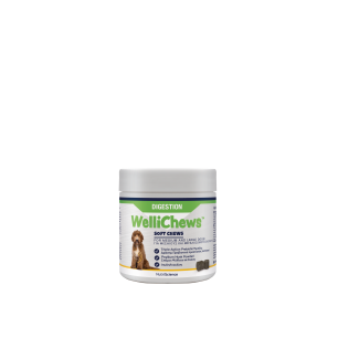 NEW!!!!   WelliChews™ Digestion