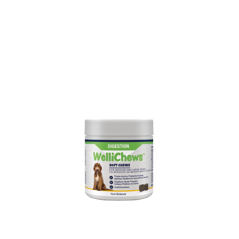 NEW!!!! WelliChews™ Digestion NEW!!!! WelliChews™ Digestion