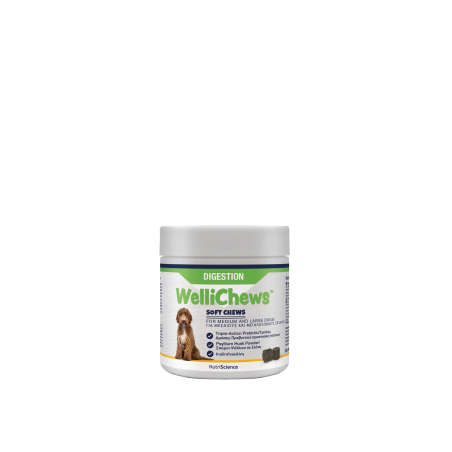 NEW!!!!   WelliChews™ Digestion